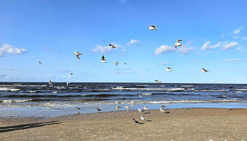 Beach Parking - Jūrmala