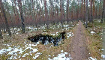Cērtenes pilskalns - Smiltene