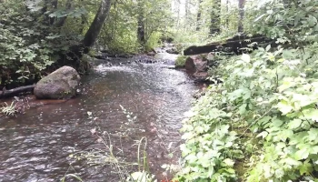 Draudzības parks - Pļaviņas
