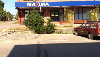 Maxima X - Madona