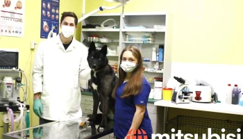 Mika Veterinārā klīnika - Pļaviņas