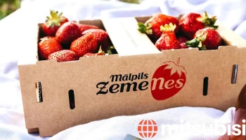 Mālpils ZemeNes - Sidgunda