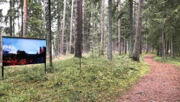Riekstukalna taka - Baldone