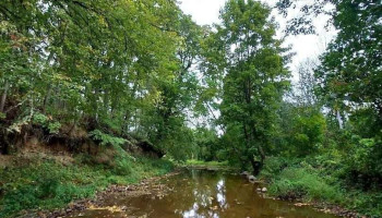 Ropažu Klintis - Ropaži