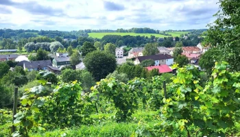 Wine Hill of Sabile - Sabiles Pilsēta