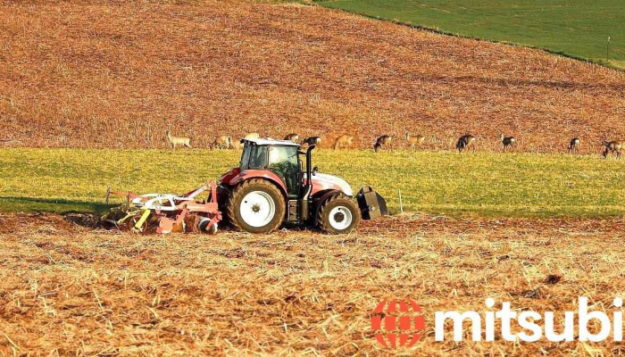 Agrorezerve -  Visi - Krustpils Pagasts, Jēkabpils Novads