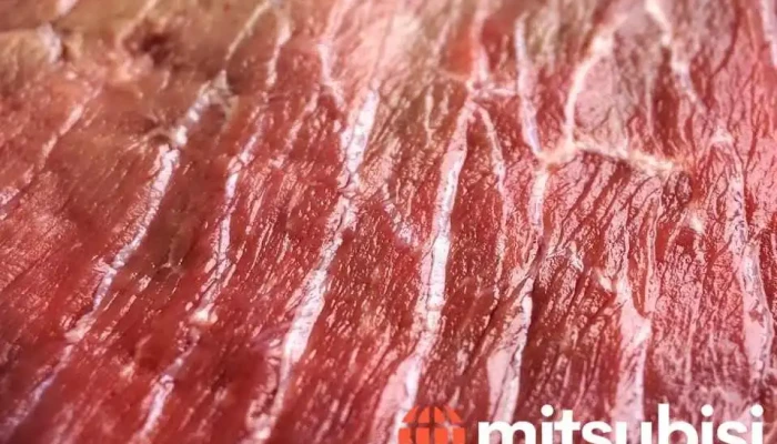 Aibi Birojs Lopu Uzpirksana Sertificeta Kautuve Visi - Ērgļi