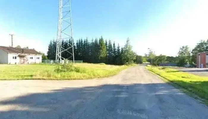 Ast Ergli Visi - Ērgļi