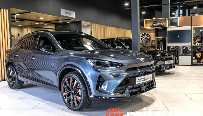Autobrava Motors Krasta Cupra Un Seat Oficialais Dilercentrs Atlasija Ipasnieks - Rīga