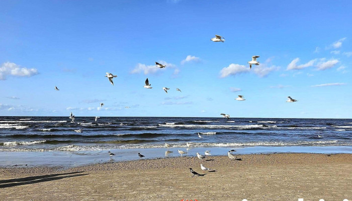 Beach Parking - Jūrmala