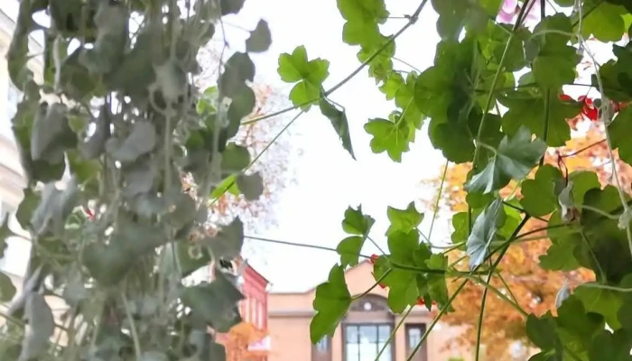 Daugavpils Dzelzcela Stacija Videoklipi - Daugavpils