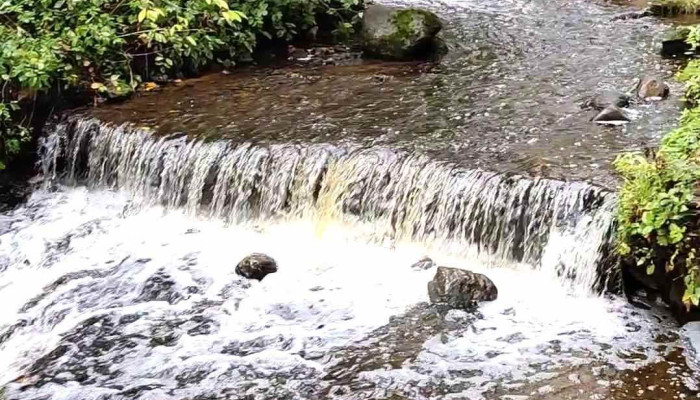 Draudzibas Parks Videoklipi - Pļaviņas