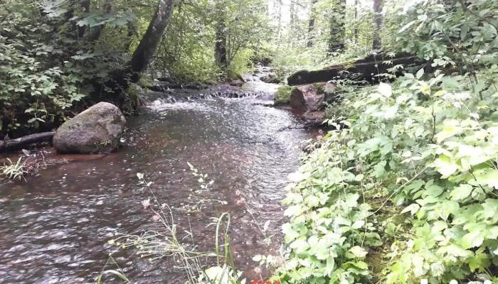 Draudzības parks - Pļaviņas
