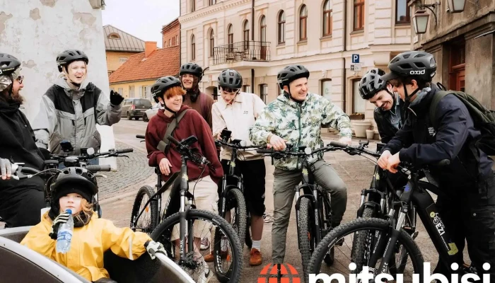 Elektro Ezi Visi - Cēsis