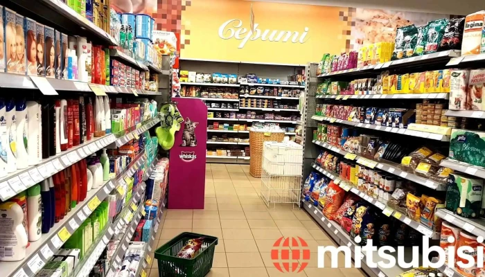 Elvi -  Videoklipi - Ozolnieki