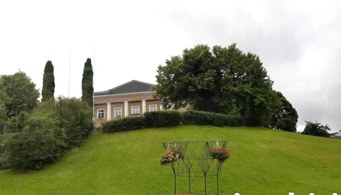 Ergli Visi - Ērgļi