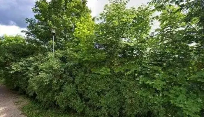 Jauniesu Centrs Nagla Visi - Kandava