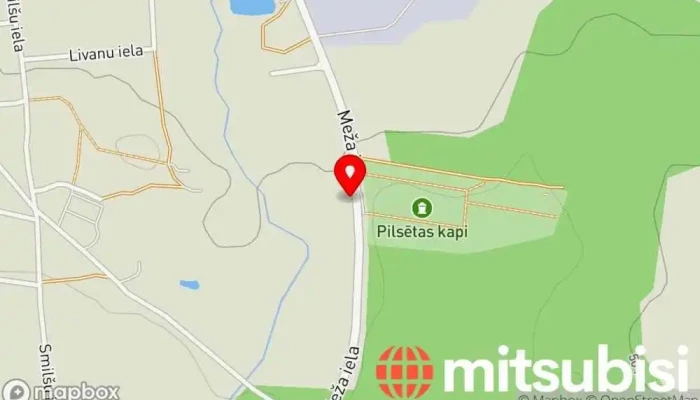 Jaunjelgavas Martina Balta Evangeliski Luteriska Baznica Karte - Jaunjelgava