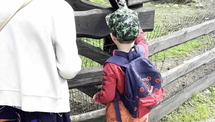 Kekavas Mini Zoodarzs Videoklipi - Līči