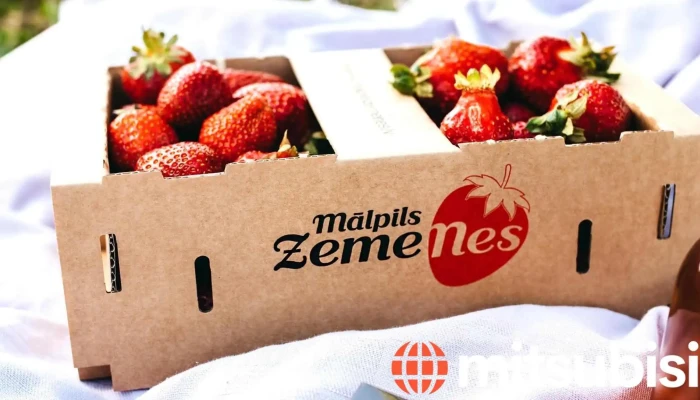 Malpils Zemenes Visi - Sidgunda