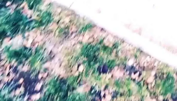 Olaine -  Videoklipi - Olaine