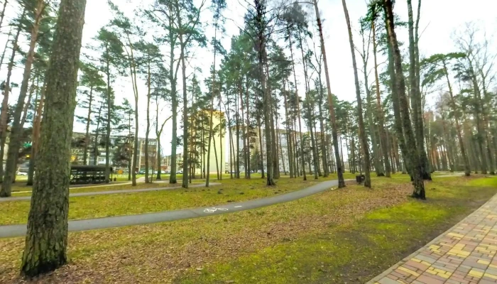 Olaines Mezaparks Ielas Attels Un 360deg - Olaine