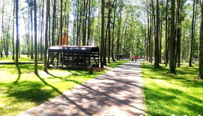 Olaines Mezaparks Visi - Olaine