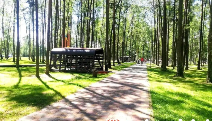 Olaines Mežaparks - Olaine