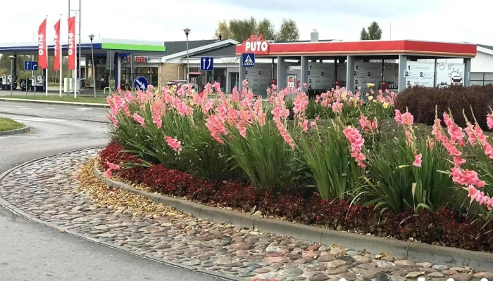Puto automazgātava - Sūru Iela 3 Blakus