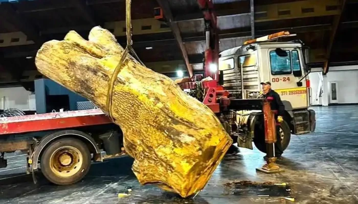 Rg Auto Sia Atlasija Ipasnieks - Jēkabpils