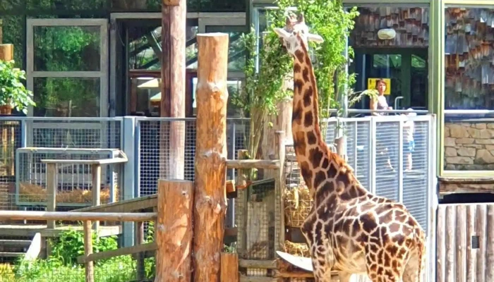 Rigas Nacionalais Zoologiskais Darzs Visi - Rīga
