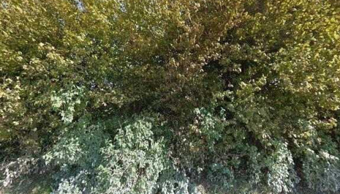 Robeznieki Viesu Nams Ielas Attels Un 360deg - Vecumnieku Ciems