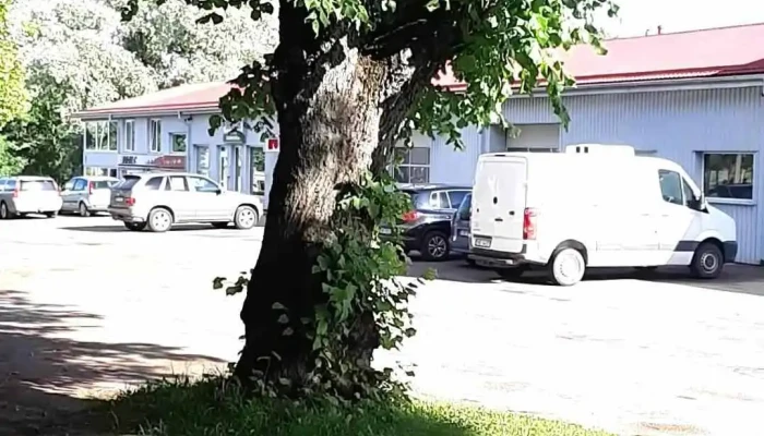 Sinhro -  C Sia Videoklipi - Cēsis