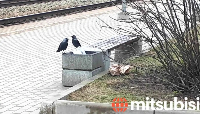Skriveri Dzelzcela Stacija Videoklipi - Skrīveri