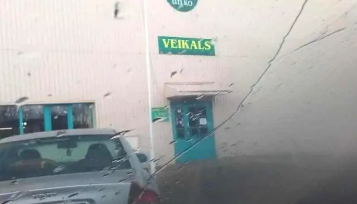 Veikals "Loks" - Sigulda