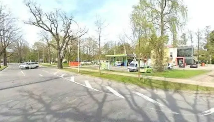 Z Lielmezi Sia Visi - Jūrmala