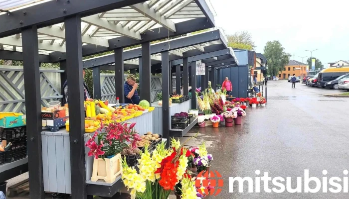 Zaļais tirdziņš Rīgas ielā - Jēkabpils