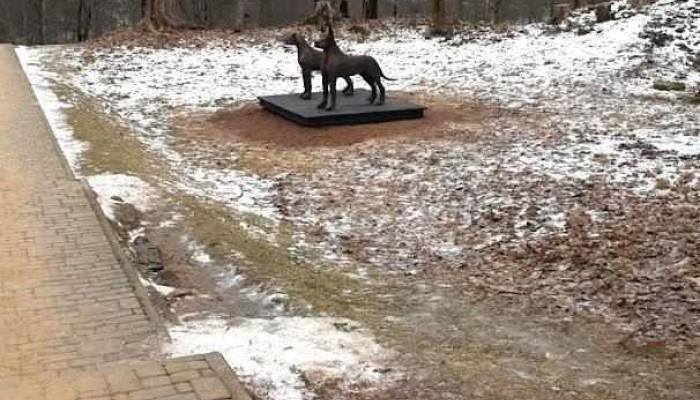 Ērgļu slimnīca - Ērgļi