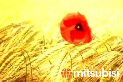 Ķira", Sia - Viļaka